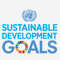 UN SDGs